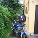 Gregor, 50